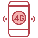 4g