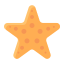 estrella de mar icon