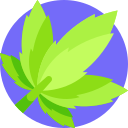 canabis icon