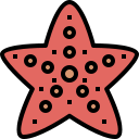 estrella de mar icon