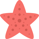 estrella de mar