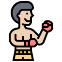 boxeo icon