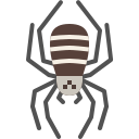 araña icon