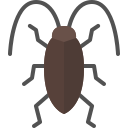 cucaracha icon