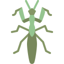 mantis icon