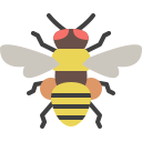 abeja icon