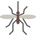 mosquito icon