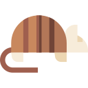 armadillo icon