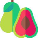 papaya icon