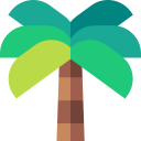 palmera icon