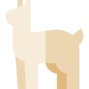 alpaca icon