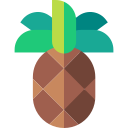 piña icon