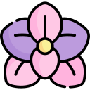 orquídea icon