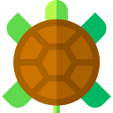 tortuga