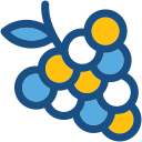 uvas icon