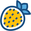 fresa icon