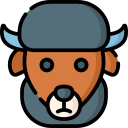 bisonte icon