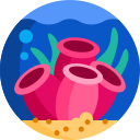 coral icon