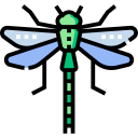 libélula icon