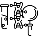 estructura de adn 