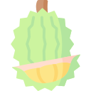 Durian icon