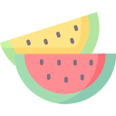 Watermelon icon
