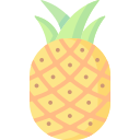 Pineapple icon