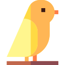 pájaro