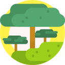 Árbol icon