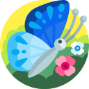 mariposa icon