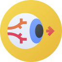 ojo icon