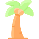 palmera