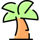 palmera