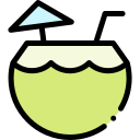 bebida de coco icon