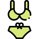 bikini icon