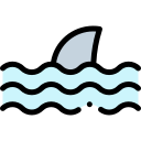 tiburón