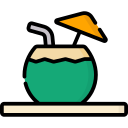 bebida de coco icon