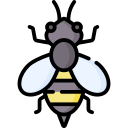 abeja