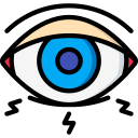 ojo icon