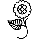 desenho floral de uma flor em um galho com uma folha 