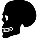 silueta de vista lateral de cráneo humano 