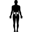 Human hips bones inside a standing male body black silhouette 