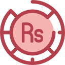 rupia icon