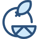 Orange icon
