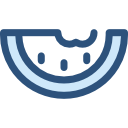 Watermelon icon