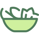 salada icon