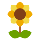 girasol icon