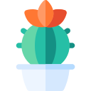 cactus icon