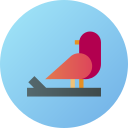 pájaro icon