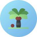 palmera icon